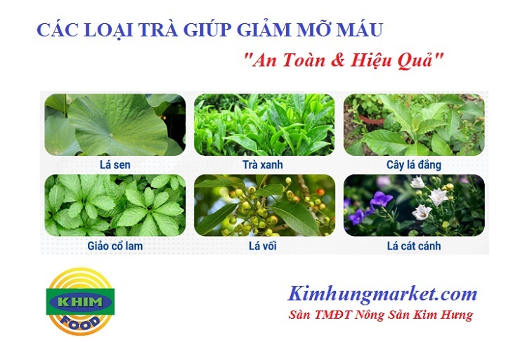 Uống trà gì để giảm mỡ máu? Cách uống trà an toàn và hiệu quả