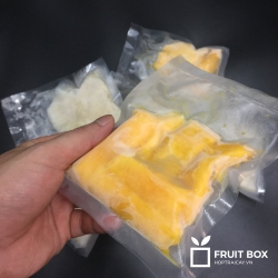 XOÀI CÁT THƠM CẤP ĐÔNG VIỆT PHÚ