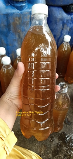 Mật ong hoa nhãn chính tông