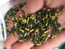 1Kg Trà tâm sen sấy mộc 