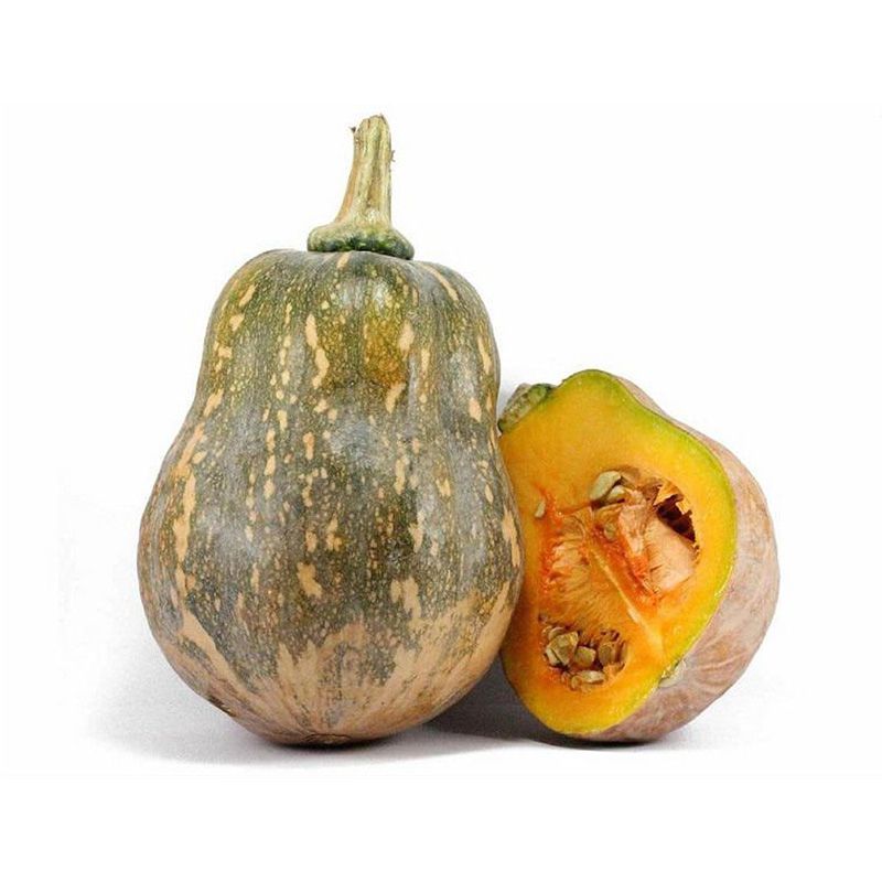 Nông sản Hưng Sơn