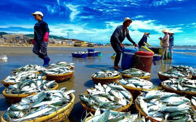 Đại lý Thủy Oanh