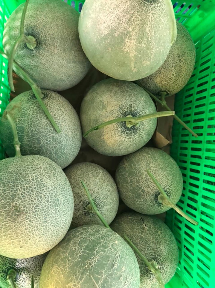 Nông sản Bảo Lộc