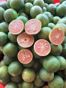 Chanh Đào Đắk Lắk 