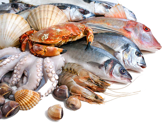 Hải sản Thanh Hóa