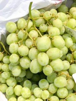 Nho xanh không hạt Úc