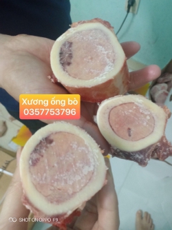 Xương ống bò