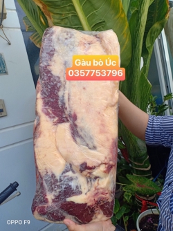Gàu bò
