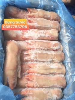 Dựng trước animex