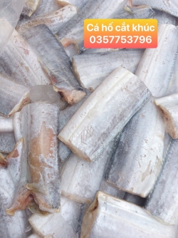 Cá hố cắt khúc