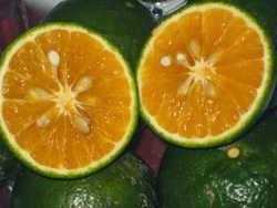 Cam sành Tuyên Quang combo 5kg