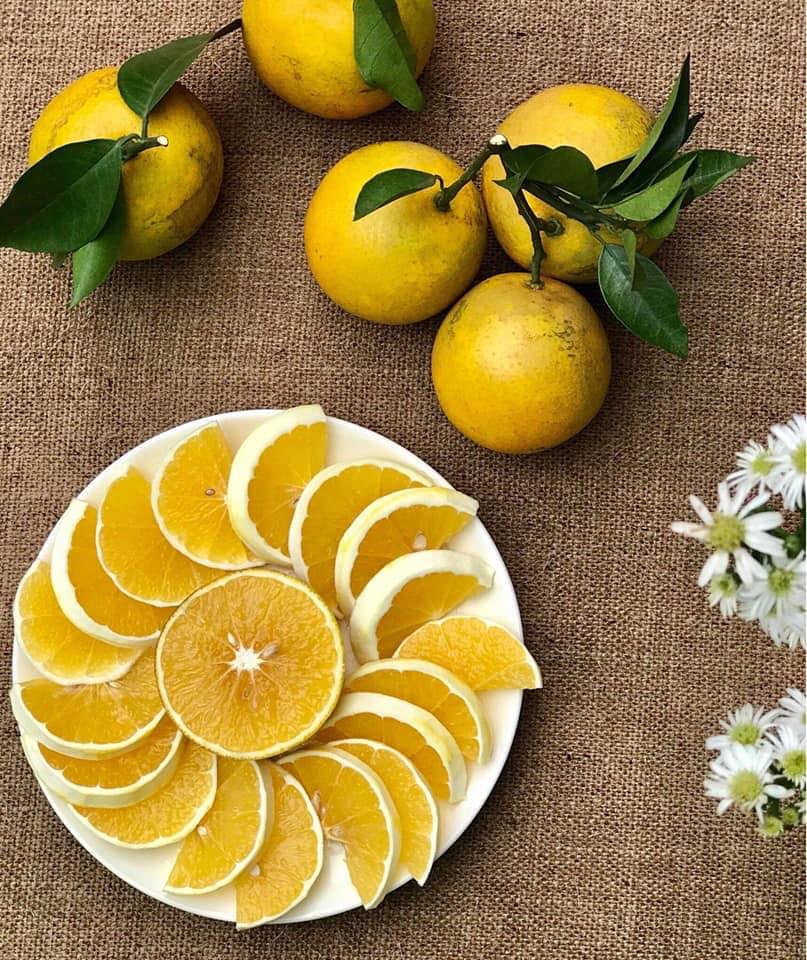 Trái cây tận gốc