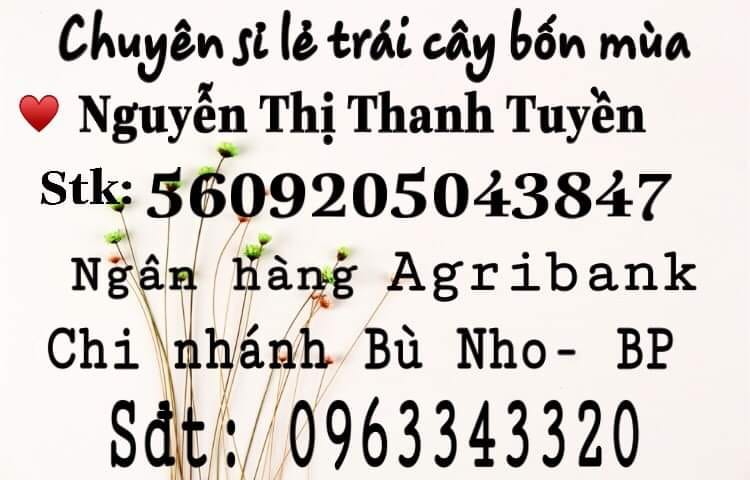 Nông sản Thanh Tuyền