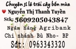 Nông sản Thanh Tuyền