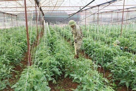 HTX Thống Nhất HTX Thống Nhất
