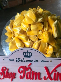 Mít lá bàng - hàng nhất