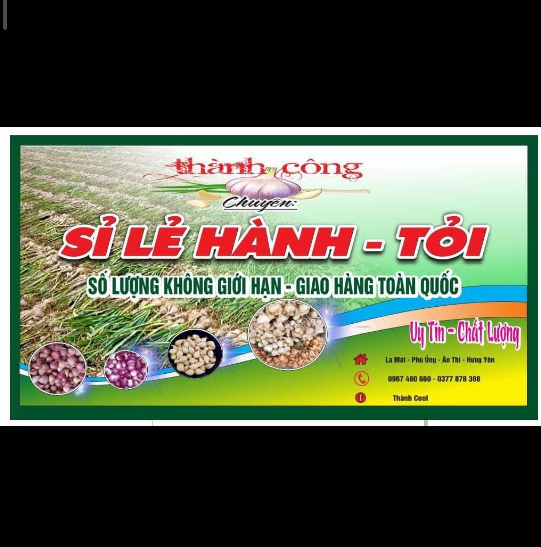 Hành tỏi Thành Công