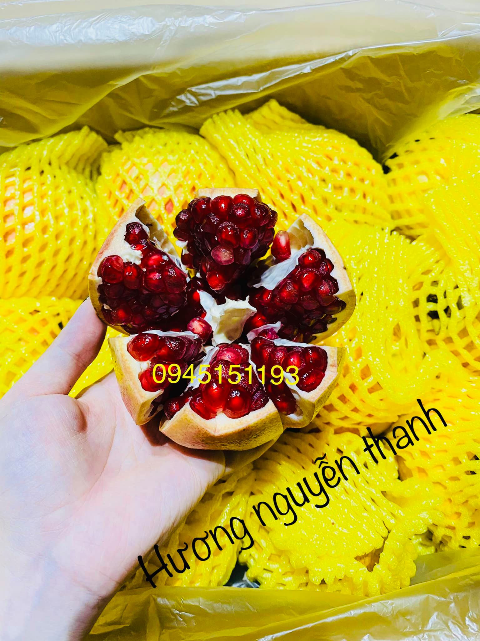 Shop Trái cây Thanh Hương Shop Trái cây Thanh Hương