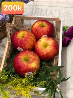 Giỏ hộp trái cây VIP