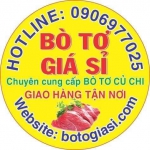 Bò tơ Củ Chi