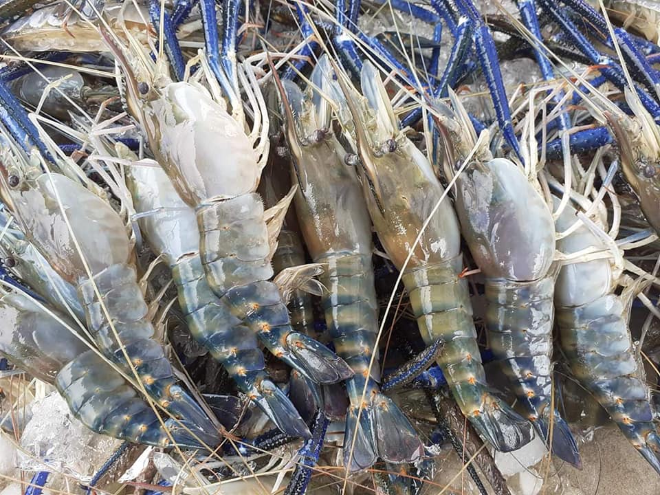 Hải sản và Trái cây