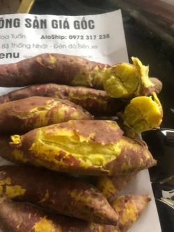 Khoai lang nhật đất đỏ