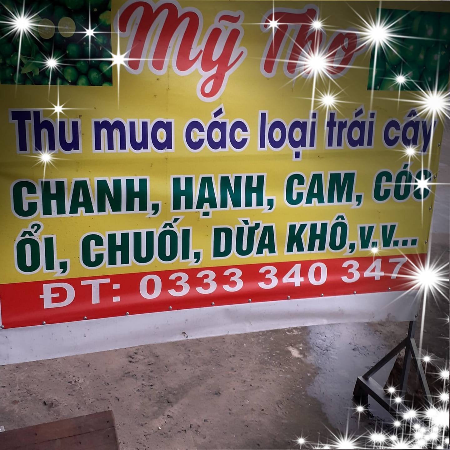Trái cây Mỹ Tho Trái cây Mỹ Tho