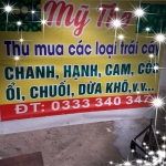 Trái cây Mỹ Tho