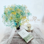 Hoa khô Ngọc Linh