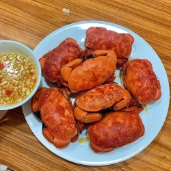 Cù kỳ