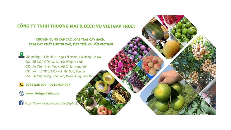 Công ty TNHH TM&DV Vietgap Fruit Công ty TNHH TM&DV Vietgap Fruit