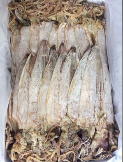 Mực khô (câu) các loại