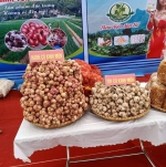 Hành Tỏi Nguyễn Hương