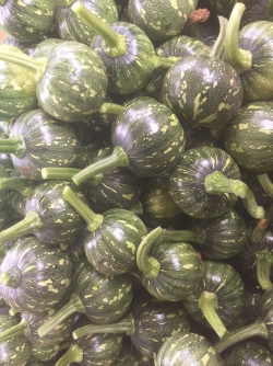 Bí đỏ non (Bí ngô baby)