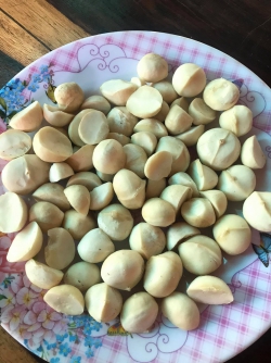 Macca nhân tươi tách vỏ