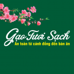 Gạo tươi sạch - Vinaseed