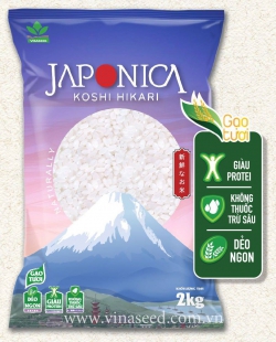 GẠO JAPONICA KOSHI HIRAKI