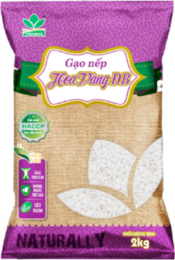 Gạo nếp hoa vàng ĐB