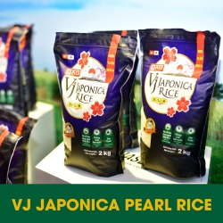 GẠO VJ JAPONICA RICE