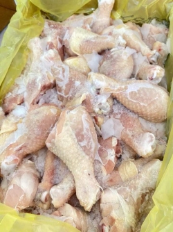 Tỏi gà Mỹ moutain