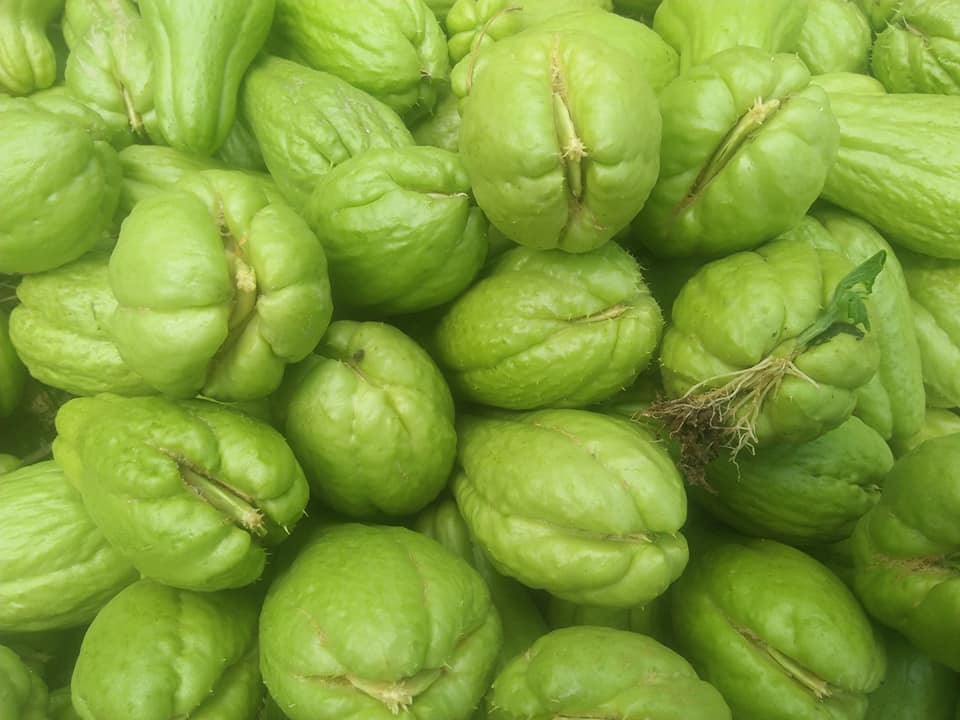 Rau củ Mộc Châu Rau củ Mộc Châu