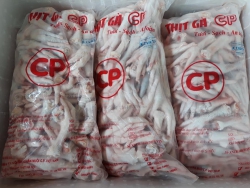 Chân nguyên xương CP