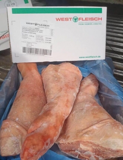 Chân nguyên Đức