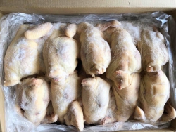 Gà bọng hàn quốc loại 1