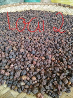 Mắc mật khô Tuệ Linh loại 2