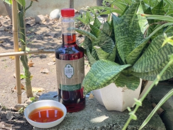 Chai Nhựa logo xanh nước mắm cốt nhỉ truyền thống 750ml