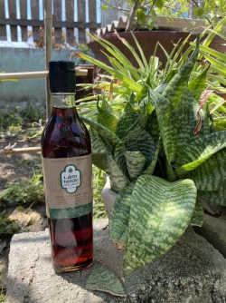 LOGO XANH ( cốt nhĩ ngon nhất)- 1 CHAI THỦY TINH 550ML