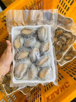 Bào Ngư Hàn Quốc