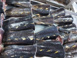 Đuôi cá ngừ đại dương