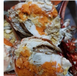 Cua Gạch tươi sống